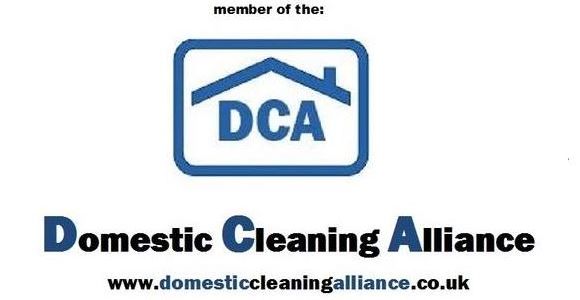 domestic cleaning alliance logo